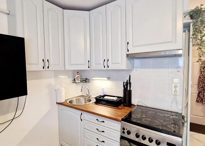 Rozsa Lak * ヘーヴィーズ